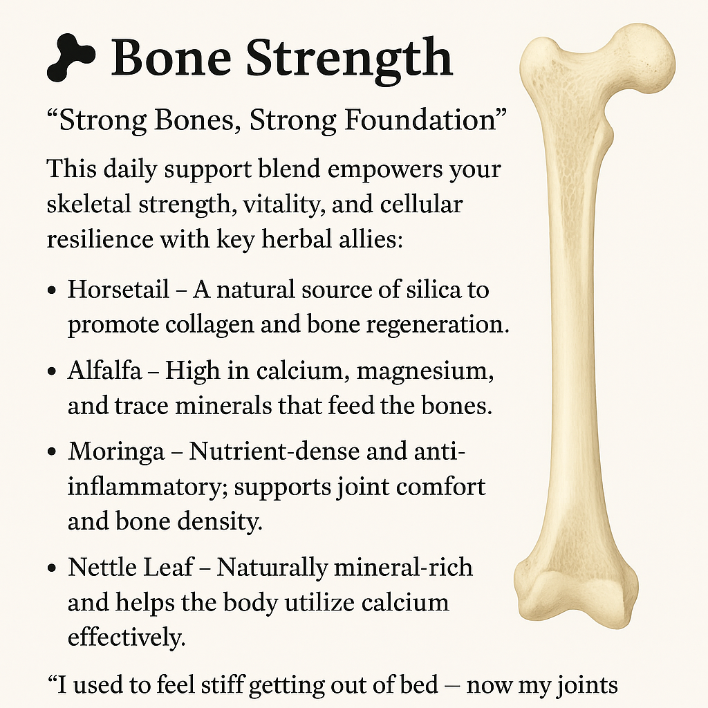 Bone Strength – Solid Support Daily