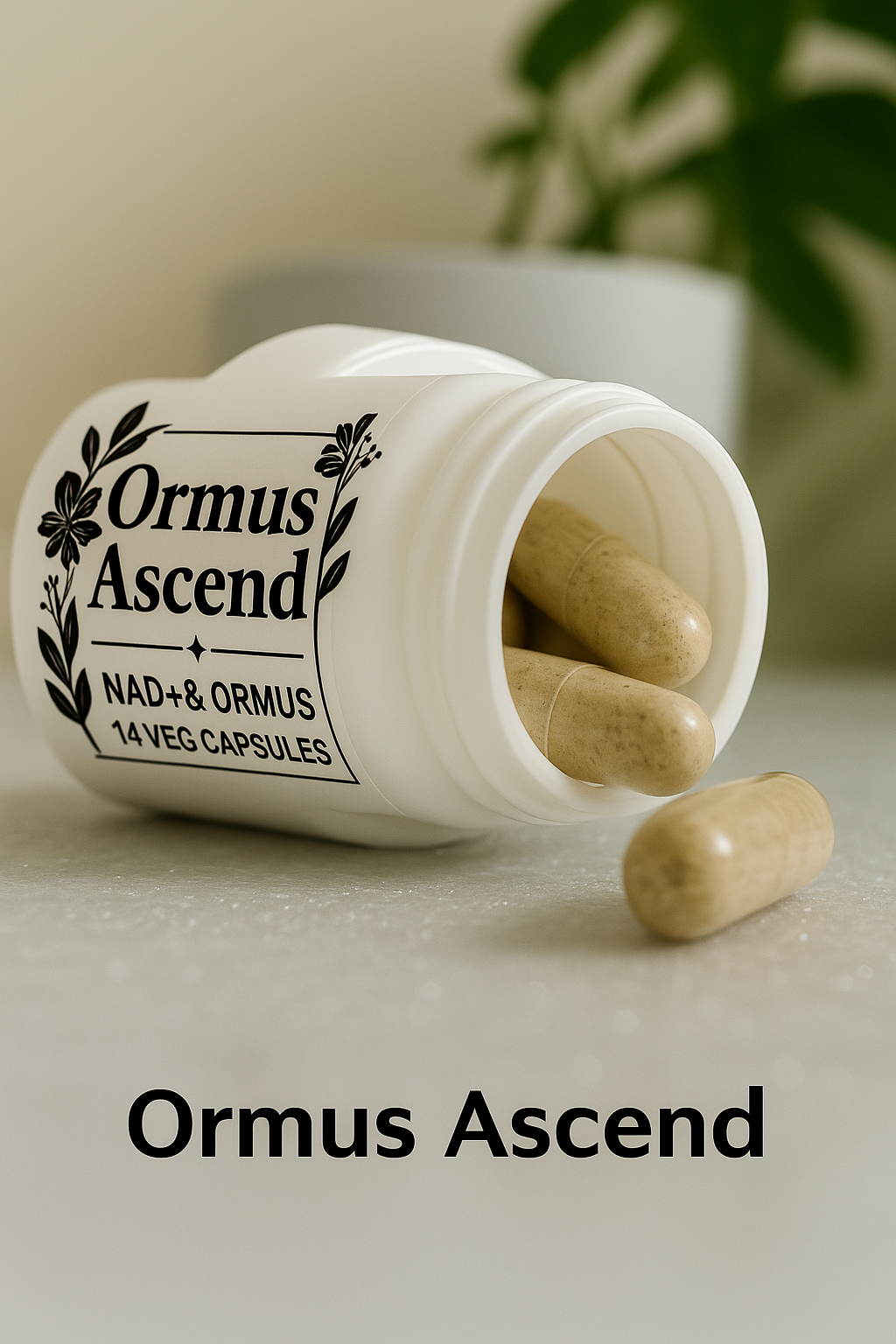 Ormus Ascend – Elevate from Within